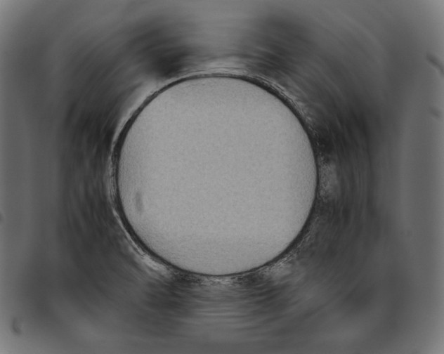 X0000094801470200712141641