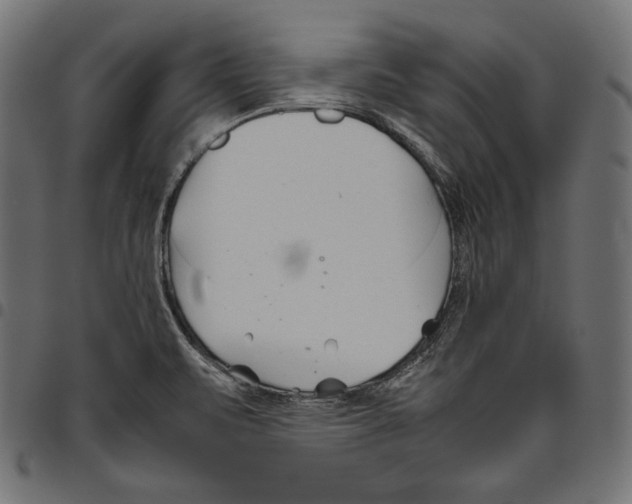 X0000094801471200712141641