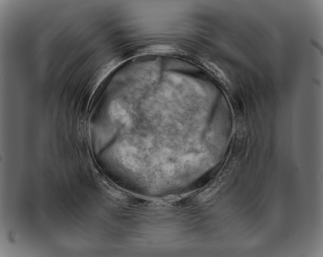 X0000094801473200712141641