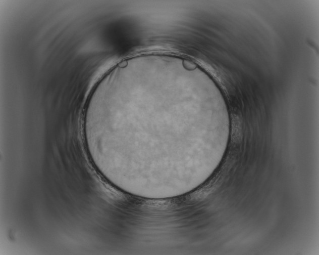 X0000094801474200712141641