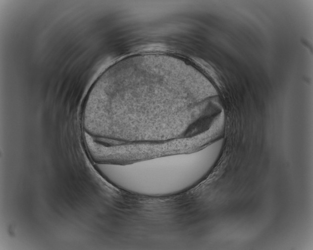 X0000094801475200712141641