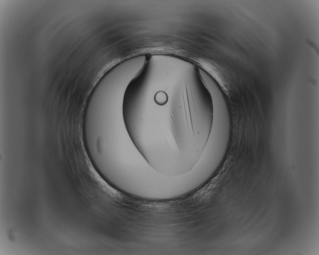 X0000094801476200712141641