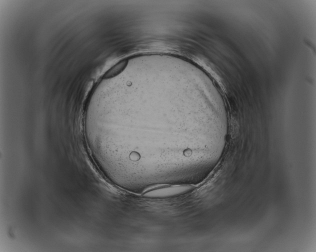 X0000094801477200712141641