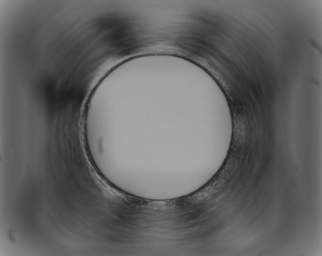 X0000094801478200712141641