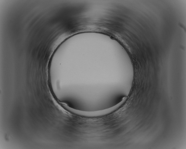 X0000094801479200712141641