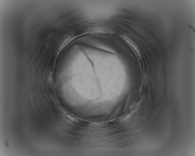 X0000094801481200712141641