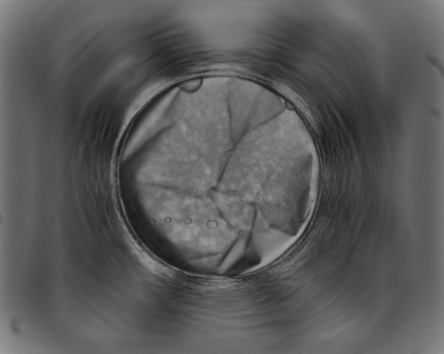 X0000094801482200712141641