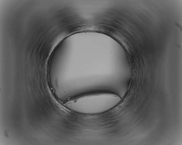 X0000094801483200712141641