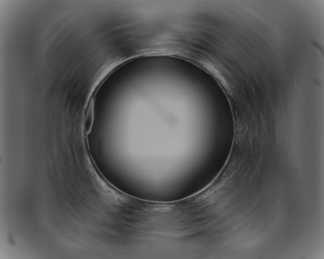 X0000094801484200712141641