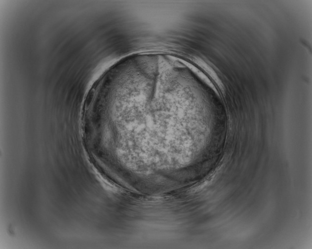 X0000094801485200712141641