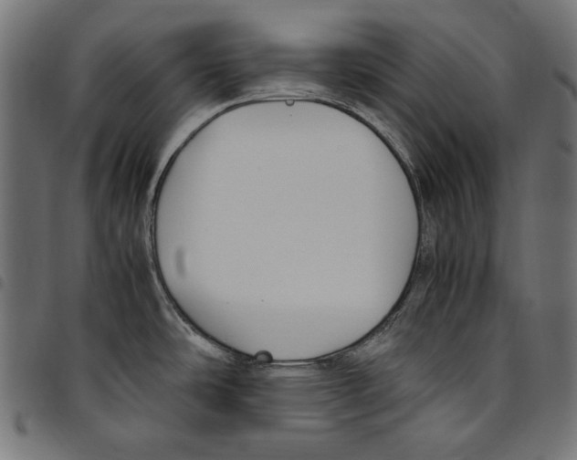 X0000094801486200712141641