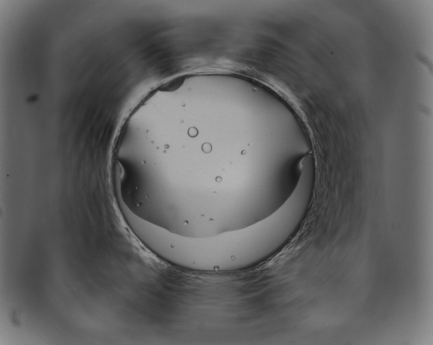 X0000094801488200712141641