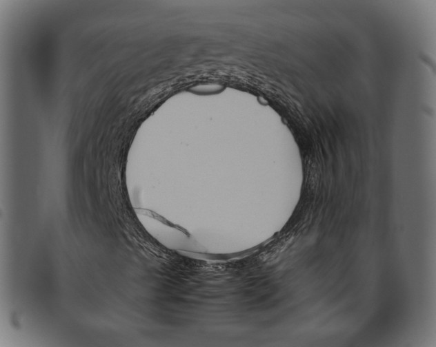 X0000094801489200712141640