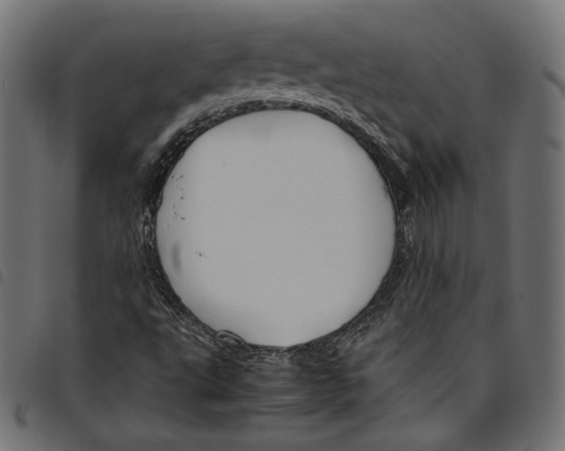 X0000094801495200712141640