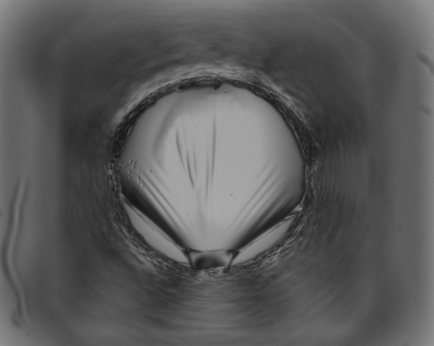 X0000094801496200712141640