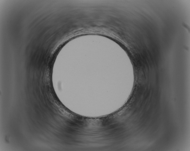 X0000094801498200712141640