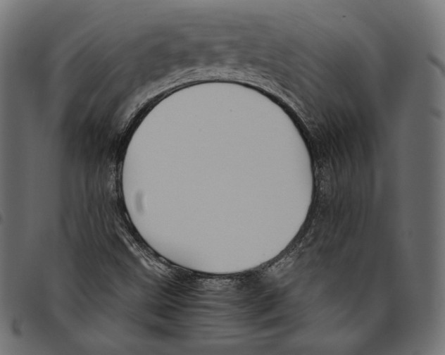 X0000094801499200712141640