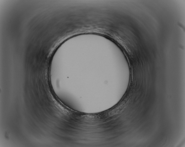 X0000094801500200712141640