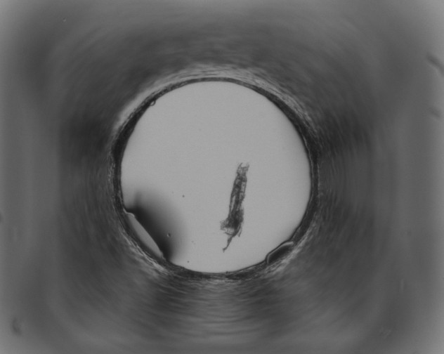 X0000094801502200712141641