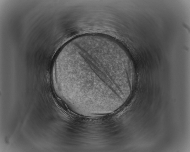 X0000094801505200712141641