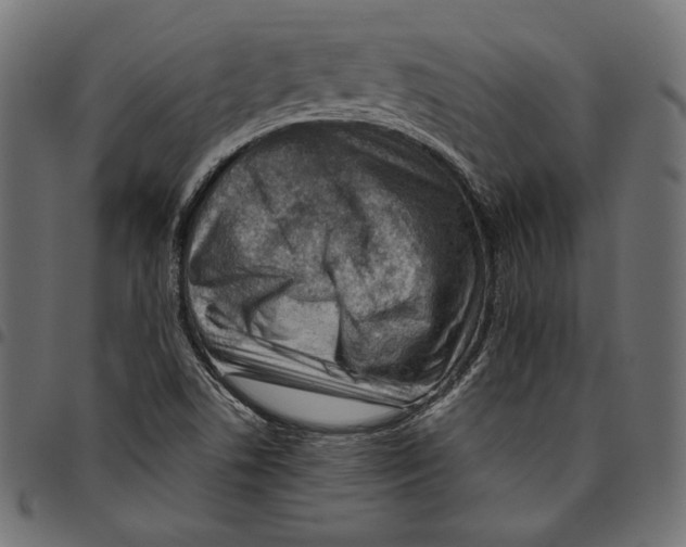 X0000094801506200712141641