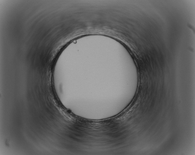 X0000094801507200712141641