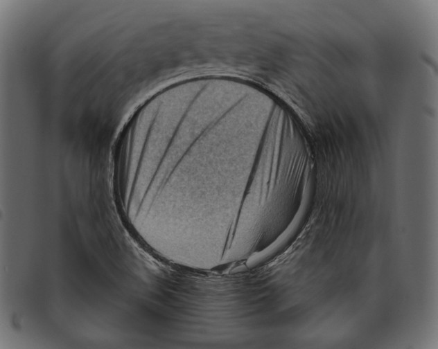 X0000094801508200712141641