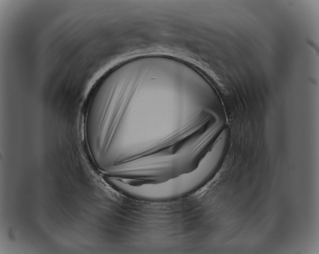 X0000094801510200712141641