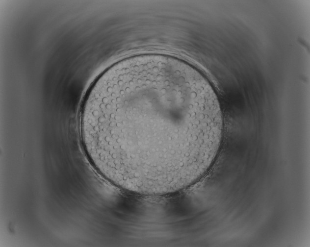 X0000094801514200712141641