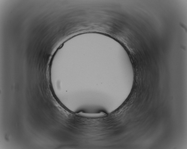 X0000094801516200712141641