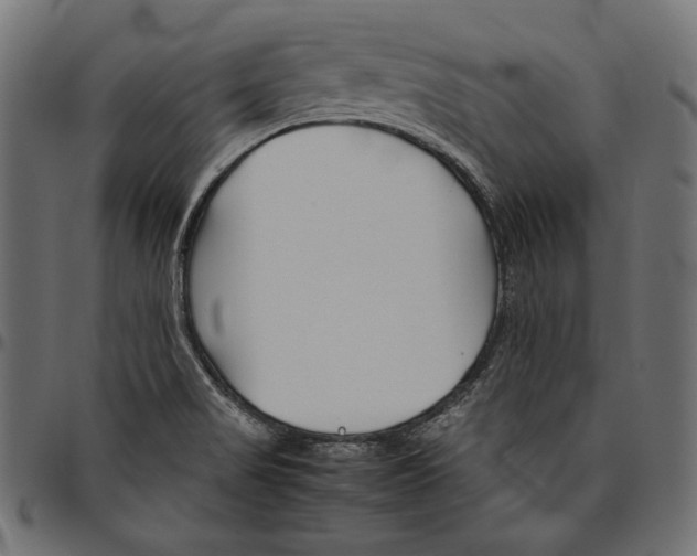 X0000094801517200712141641