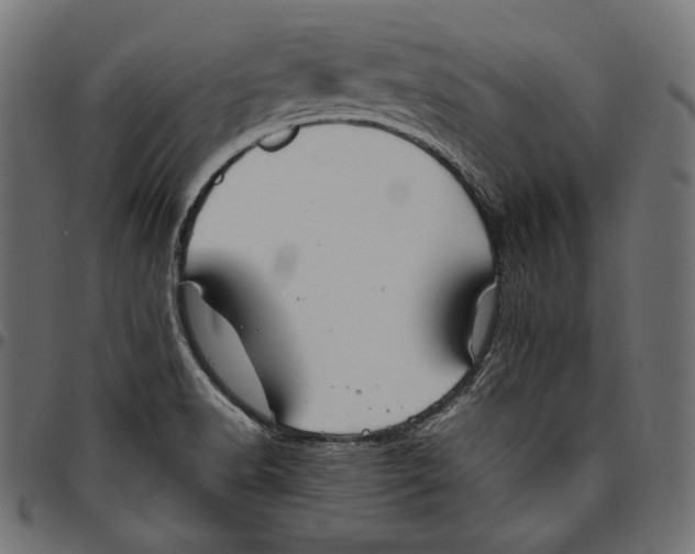 X0000094801518200712141641