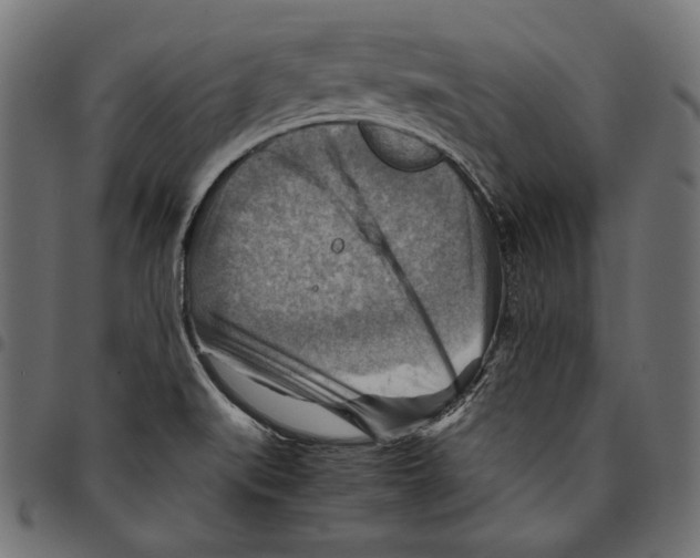 X0000094801519200712141641