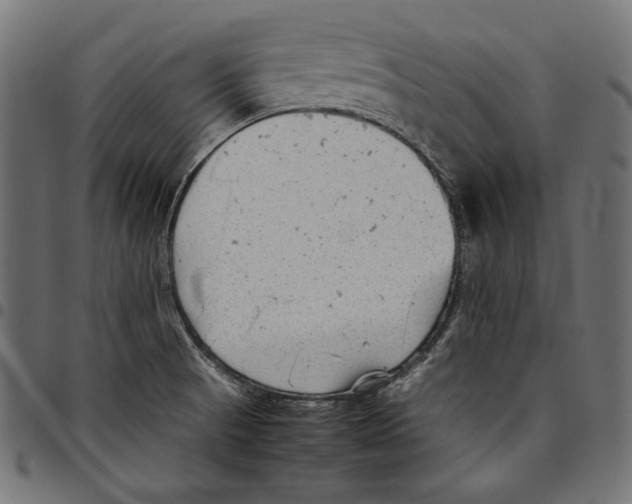 X0000094801521200712141641