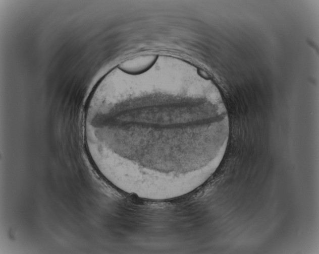 X0000094801522200712141641