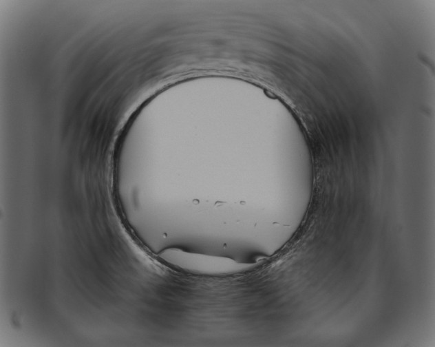 X0000094801523200712141641