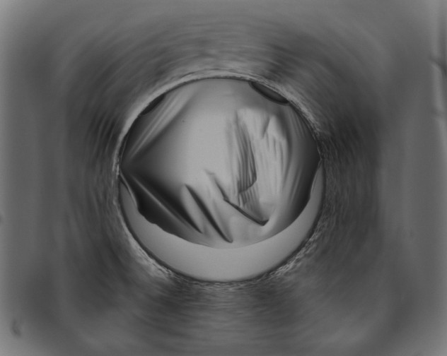 X0000094801524200712141641