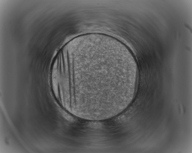 X0000094801525200712141641