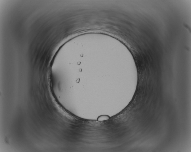 X0000094801526200712141641