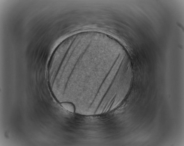 X0000094801527200712141641