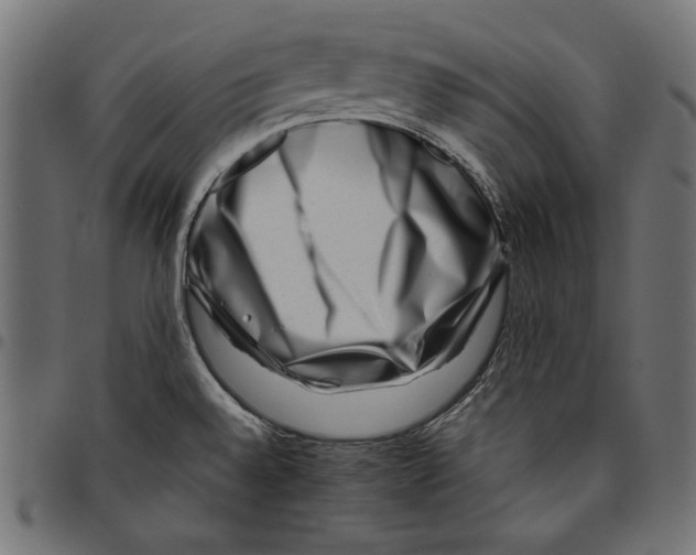 X0000094801528200712141641