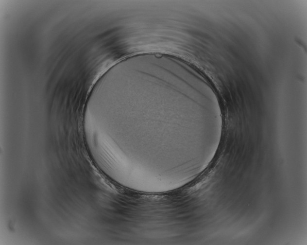 X0000094801529200712141641