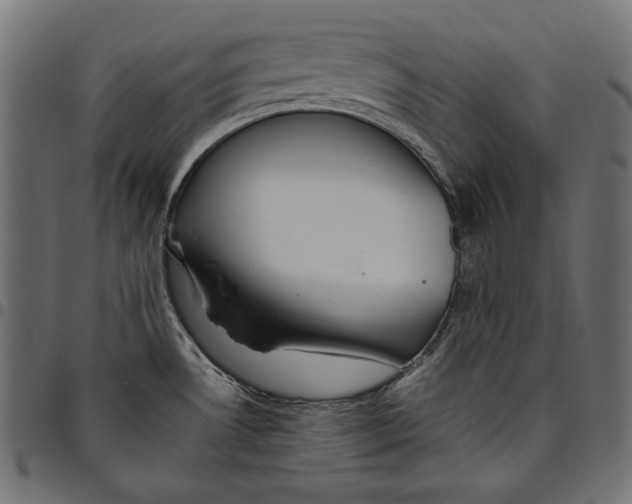 X0000094801530200712141641