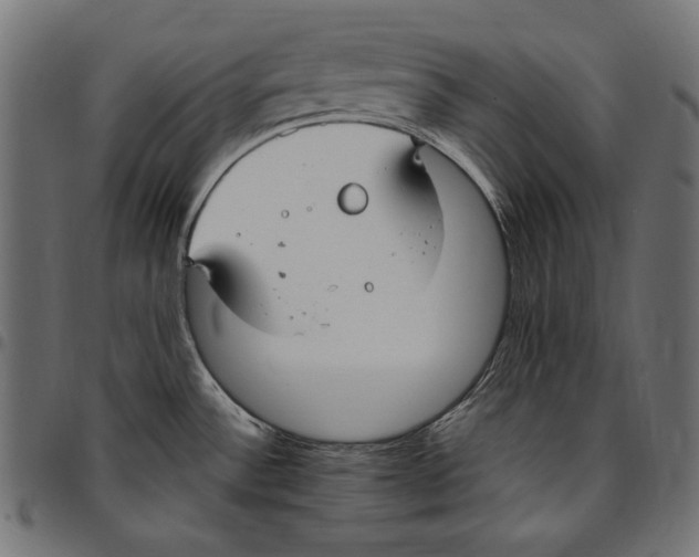 X0000094801532200712141641