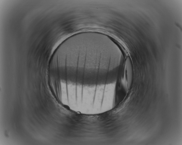 X0000094801533200712141641