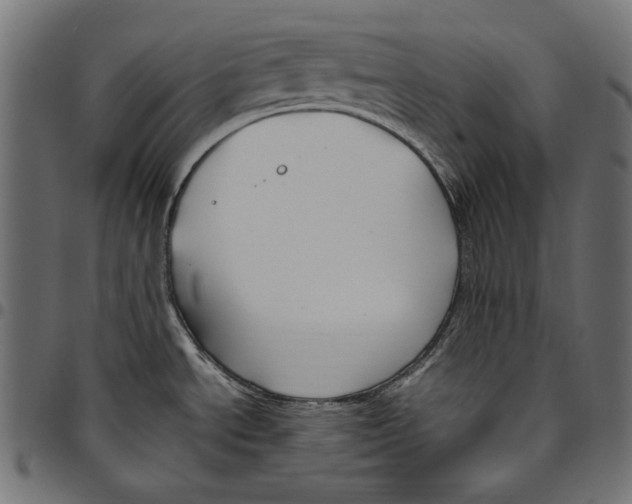 X0000094801534200712141641