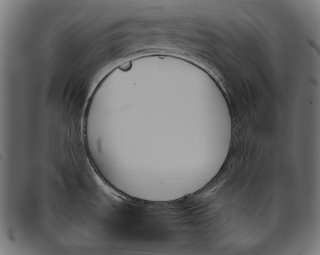 X0000094801535200712141641