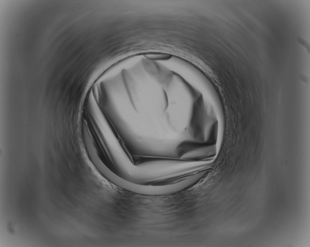 X0000094801536200712141641