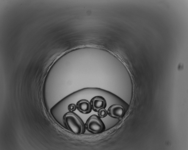 X0000094810001200711161015