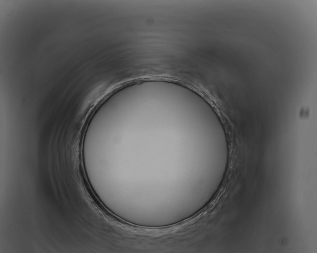 X0000094810002200711161015